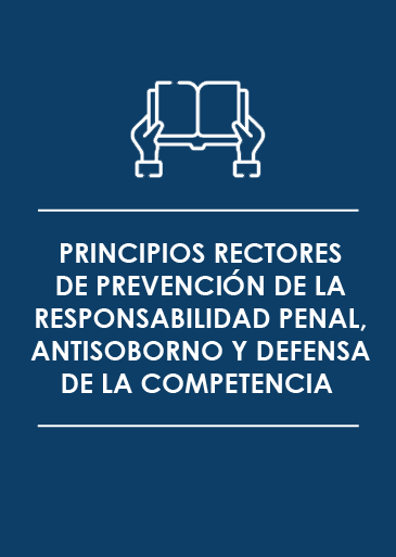 PRINCIPIOS RECTORES